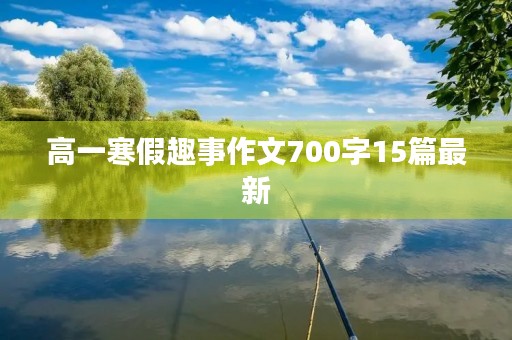 高一寒假趣事作文700字15篇最新