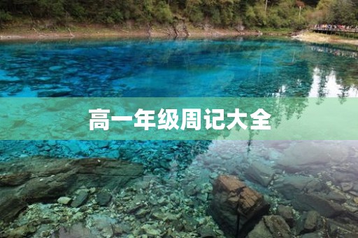 高一年级周记大全