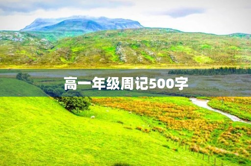 高一年级周记500字