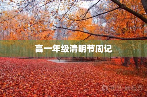 高一年级清明节周记 高一年级清明节周记