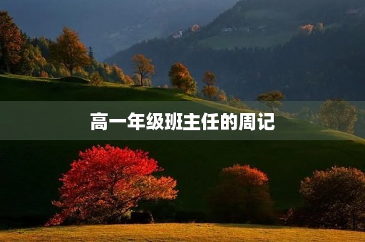 高一年级班主任的周记