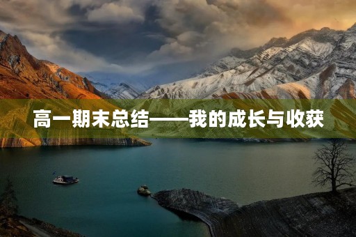 高一期末总结——我的成长与收获