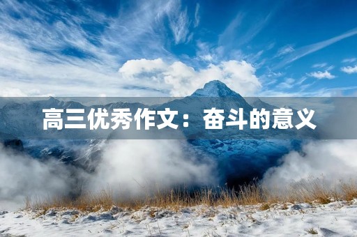 高三优秀作文：奋斗的意义
