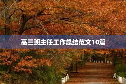 高三班主任工作总结范文10篇