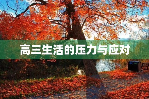 高三生活的压力与应对