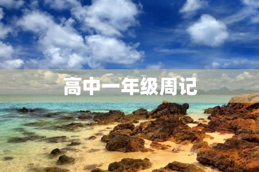 高中一年级周记