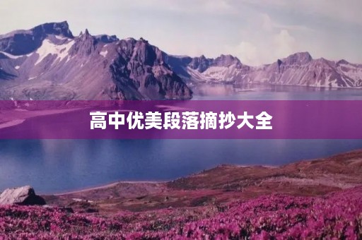 高中优美段落摘抄大全