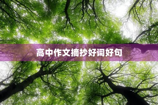 高中作文摘抄好词好句