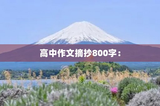 高中作文摘抄800字：