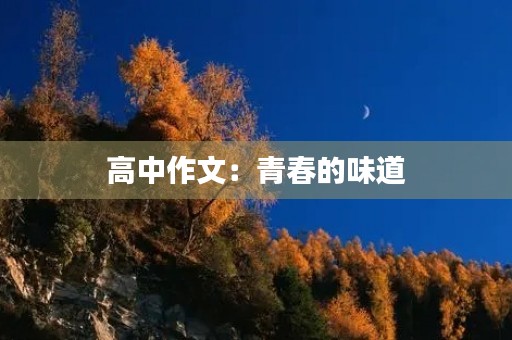 高中作文：青春的味道