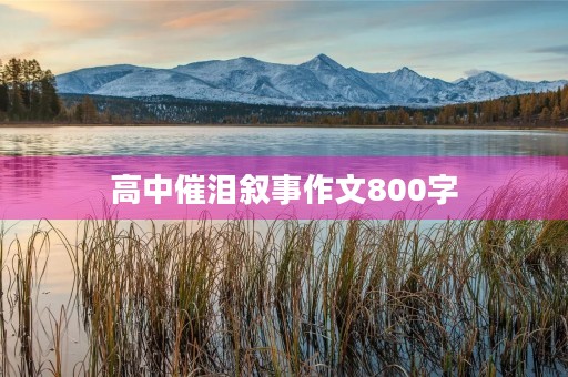 高中催泪叙事作文800字