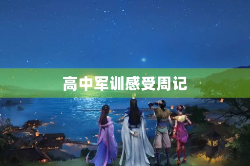 高中军训感受周记