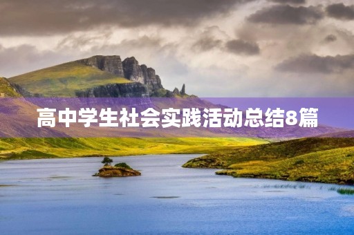 高中学生社会实践活动总结8篇