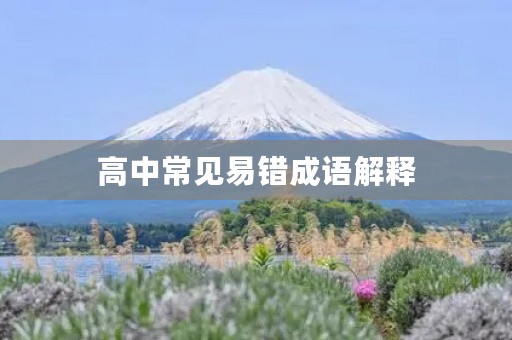 高中常见易错成语解释 高中常见易错成语解释
