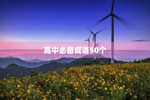 高中必备成语50个