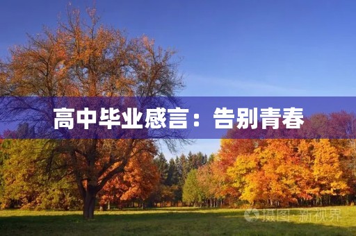 高中毕业感言:告别青春,迎接未来 高中毕业感言:告别青春,迎接未来
