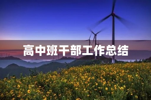 高中班干部工作总结