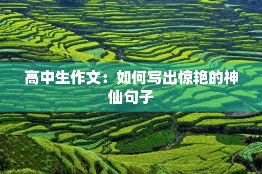 高中生作文：如何写出惊艳的神仙句子