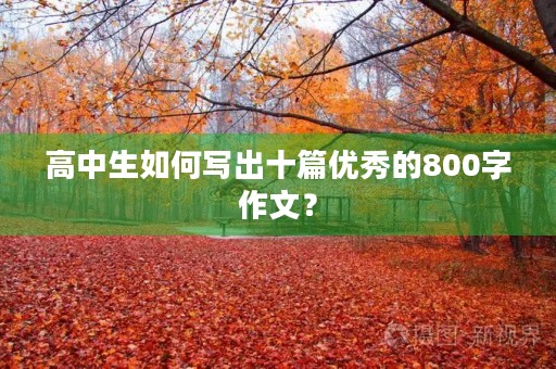 高中生如何写出十篇优秀的800字作文? 高中生如何写出十篇优秀的800字作文?