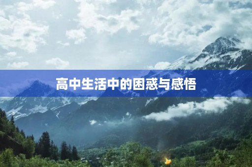 高中生活中的困惑与感悟 高中生活中的困惑与感悟