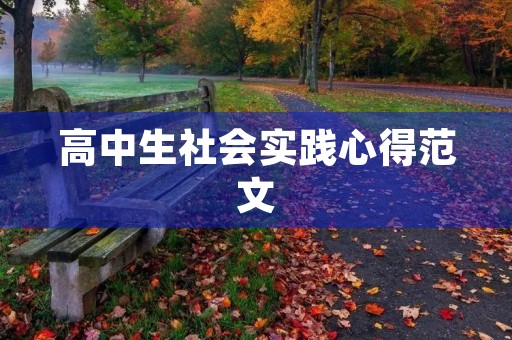 高中生社会实践心得范文