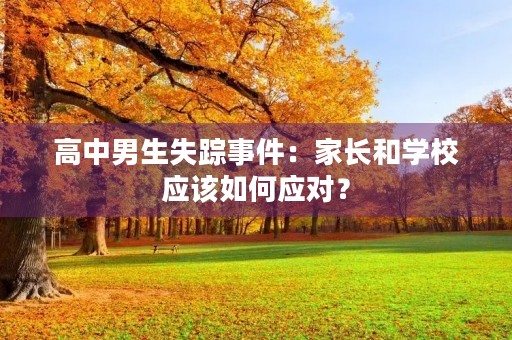 高中男生失踪事件:家长和学校应该如何应对? 高中男生失踪事件:家长和学校应该如何应对?
