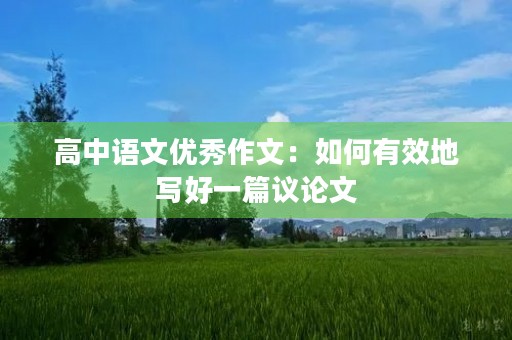 高中语文优秀作文：如何有效地写好一篇议论文