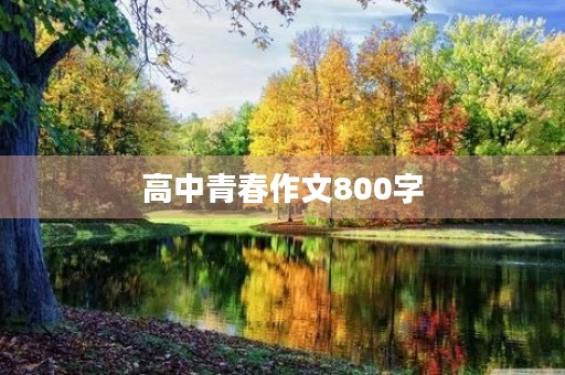 高中青春作文800字 高中青春作文800字