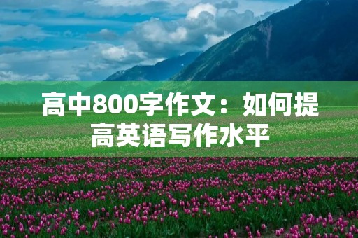 高中800字作文：如何提高英语写作水平