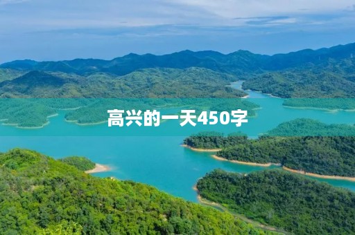 高兴的一天450字