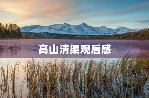 高山清渠观后感 高山清渠观后感