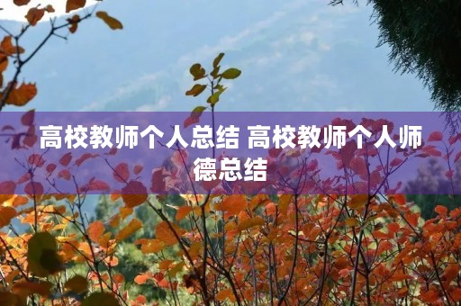 高校教师个人总结 高校教师个人师德总结