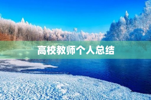 高校教师个人总结