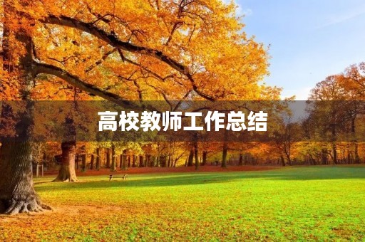 高校教师工作总结