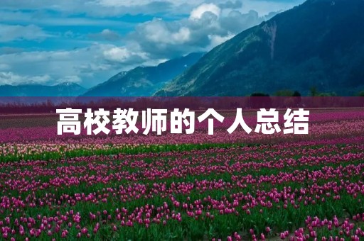 高校教师的个人总结