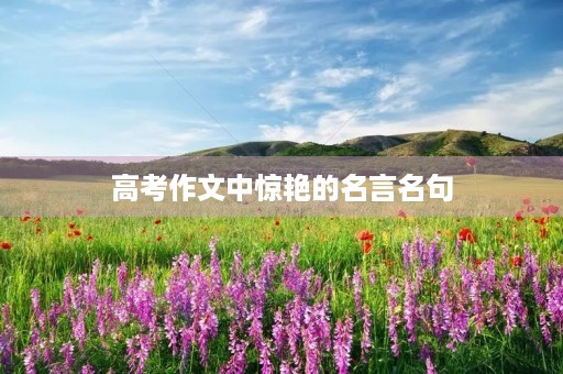 高考作文中惊艳的名言名句