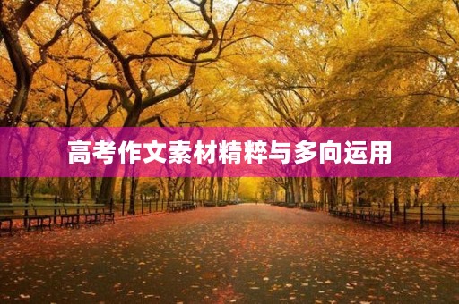 高考作文素材精粹与多向运用 高考作文素材精粹与多向运用