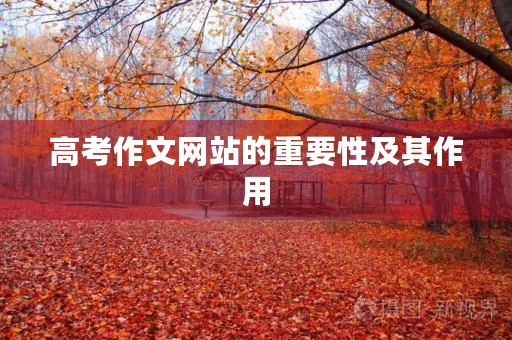 高考作文网站的重要性及其作用