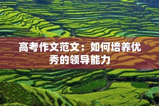 高考作文范文:如何培养优秀的领导能力 高考作文范文:如何培养优秀的领导能力