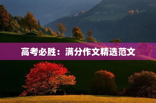 高考必胜：满分作文精选范文