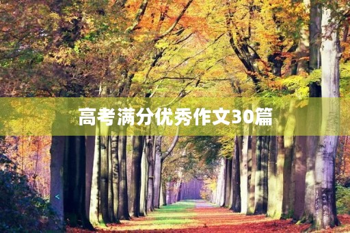 高考满分优秀作文30篇 高考满分优秀作文30篇