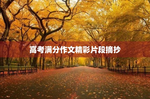 高考满分作文精彩片段摘抄