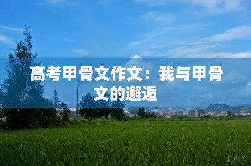 高考甲骨文作文:我与甲骨文的邂逅 高考甲骨文作文:我与甲骨文的邂逅