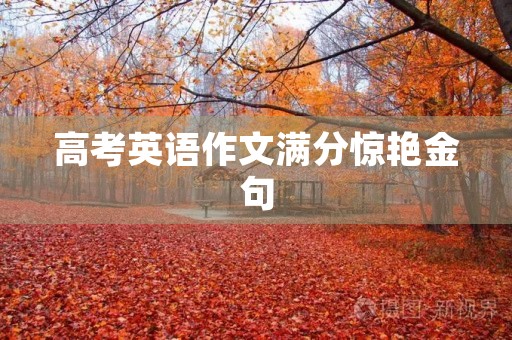 高考英语作文满分惊艳金句