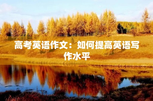 高考英语作文：如何提高英语写作水平