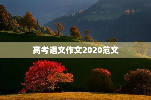 高考语文作文2020范文 高考语文作文2020范文