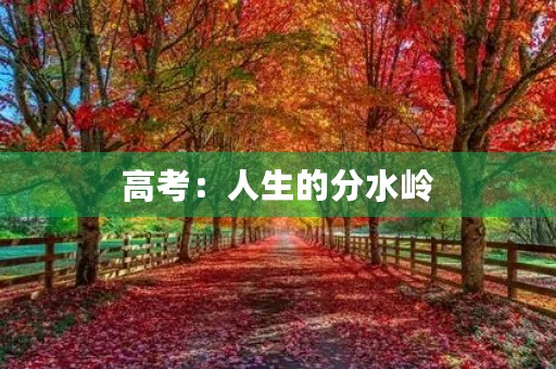 高考：人生的分水岭