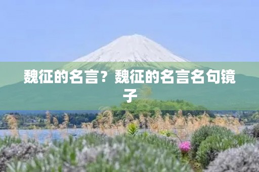 魏征的名言？魏征的名言名句镜子