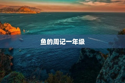 鱼的周记一年级 鱼的周记一年级