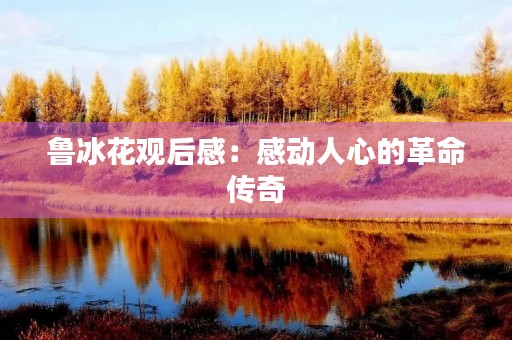 鲁冰花观后感：感动人心的革命传奇